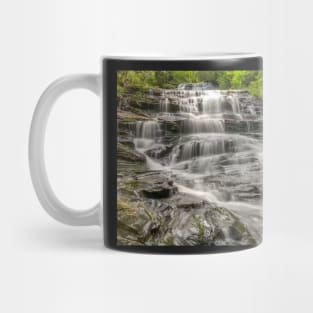 Minnehaha Falls Mug